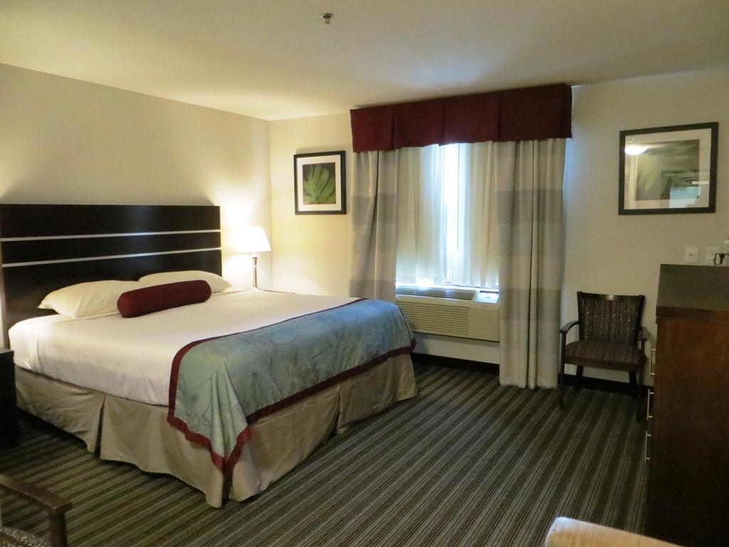 Hotel Super 8 By Wyndham Saskatoon Near Downtown Exterior foto